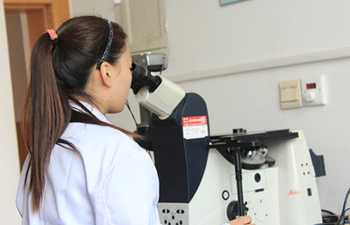 研究開發(fā)與技術(shù)咨詢 協(xié)同驅(qū)動(dòng)創(chuàng)新與商業(yè)價(jià)值